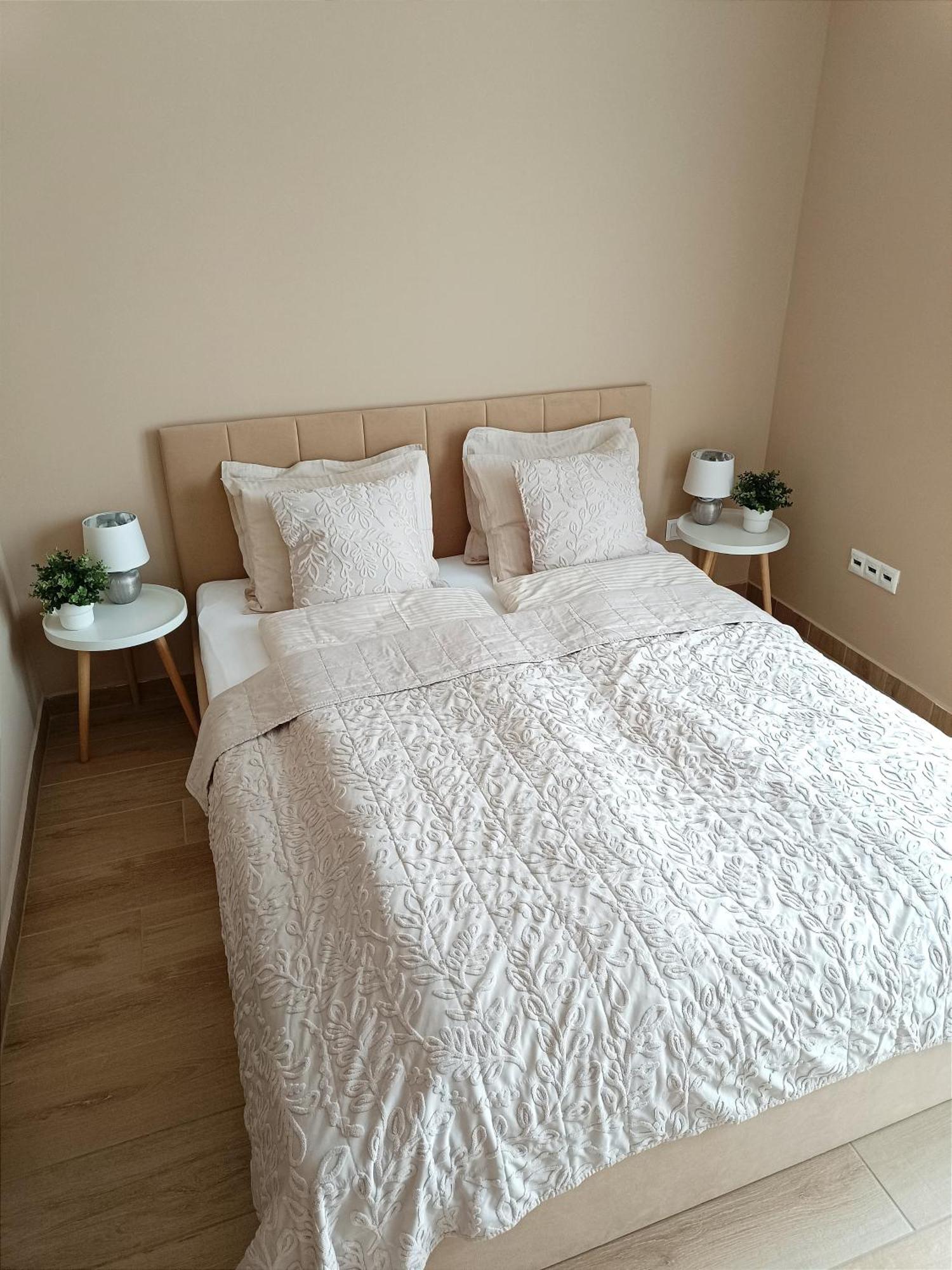 Modern Lux Home Szeged Eksteriør billede